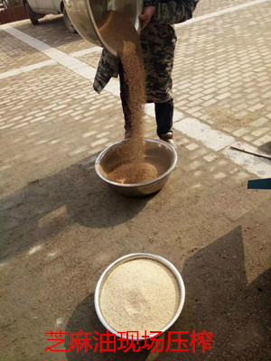 想買臺小型榨油機怕上當，又不知道哪家好？(圖1)