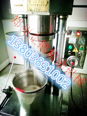 企鵝榨油機(jī)廠家說冷榨機(jī)的特點(diǎn)在哪里(圖1)