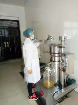 怎么才能買到高品質(zhì)的榨油機(圖1)