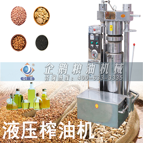芝麻榨油機(jī)